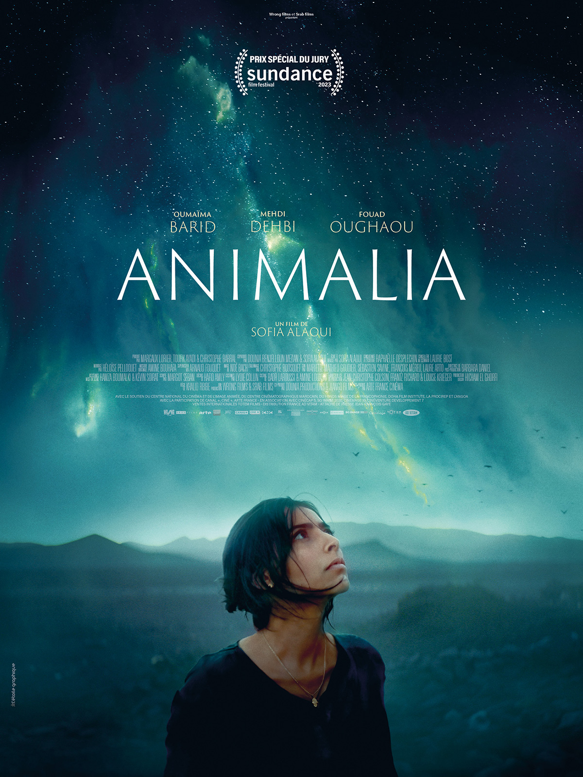 Voir Film Animalia - film 2023 streaming VF gratuit complet