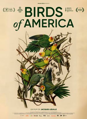 Birds of America - Documentaire (2022) streaming VF gratuit complet
