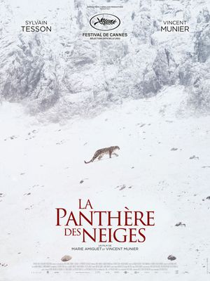 La Panthère des neiges - Documentaire (2021) streaming VF gratuit complet