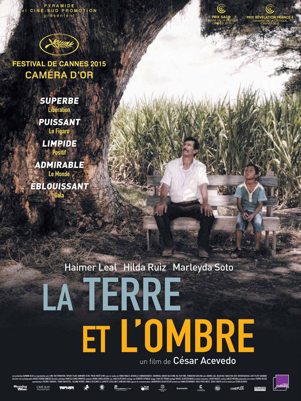Film La Terre et l'Ombre - Film (2016)
