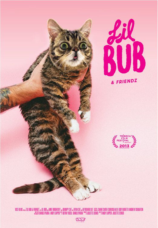 Lil BUB & Friendz - Documentaire (2013) streaming VF gratuit complet